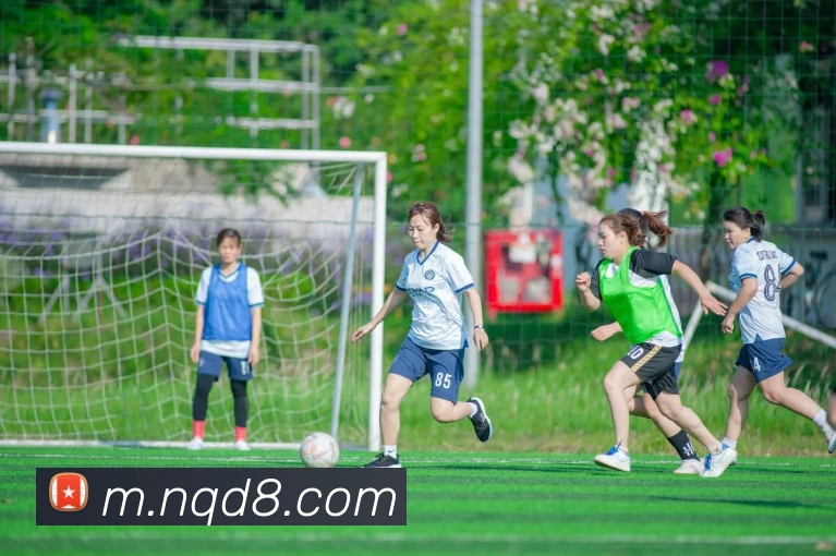 对战数据统计